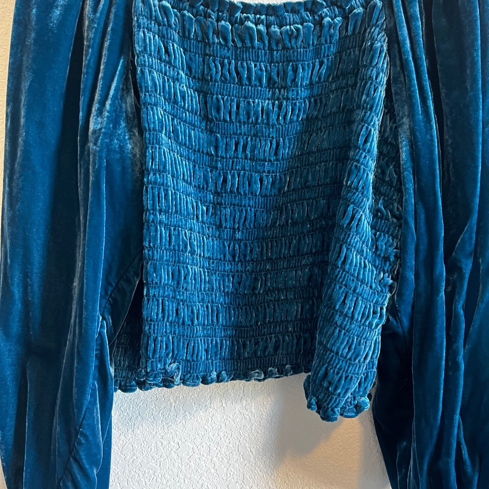 Blue Velvety Anthropologie Top